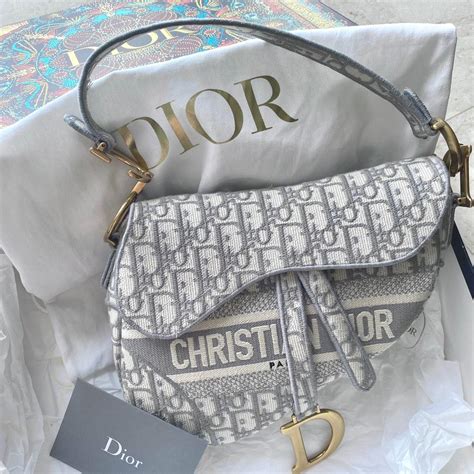 dior armor bag in gray colour
